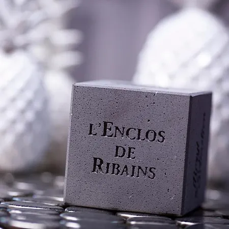 L'enclos De Ribains Affittacamere Aubière