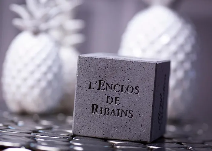 L'enclos De Ribains Pensjonat Aubière